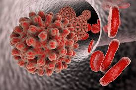 Hepatitis B Virus